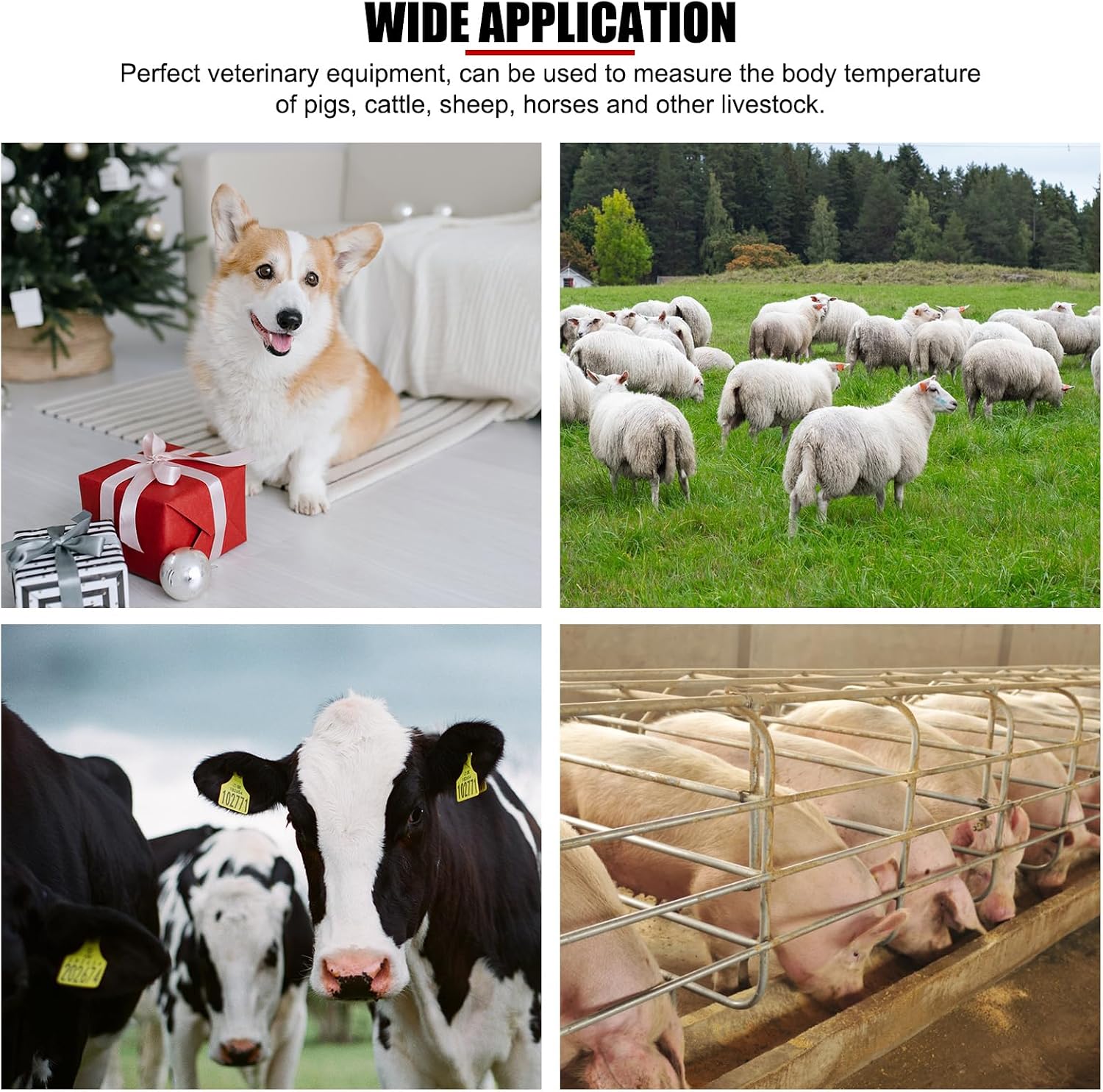Professional Pet Veterinary Thermometer, LCD Display Fast Digital Thermometer for Livestock Pigs Cattle Sheep Dogs Horse