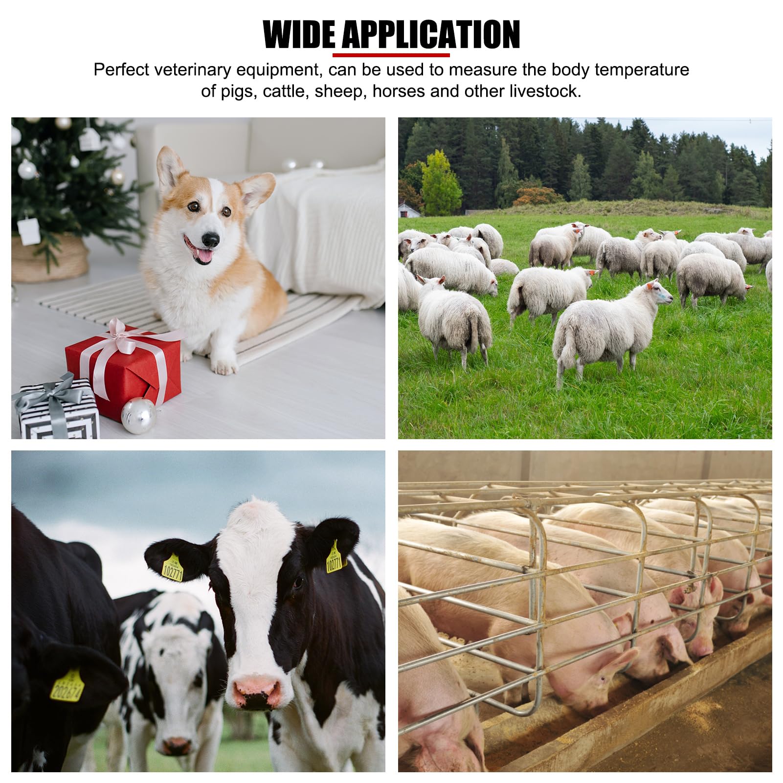 EVTSCAN Professional Pet Veterinary Thermometer, LCD Display Fast Digital Thermometer for Livestock Pigs Cattle Sheep Dogs Horse