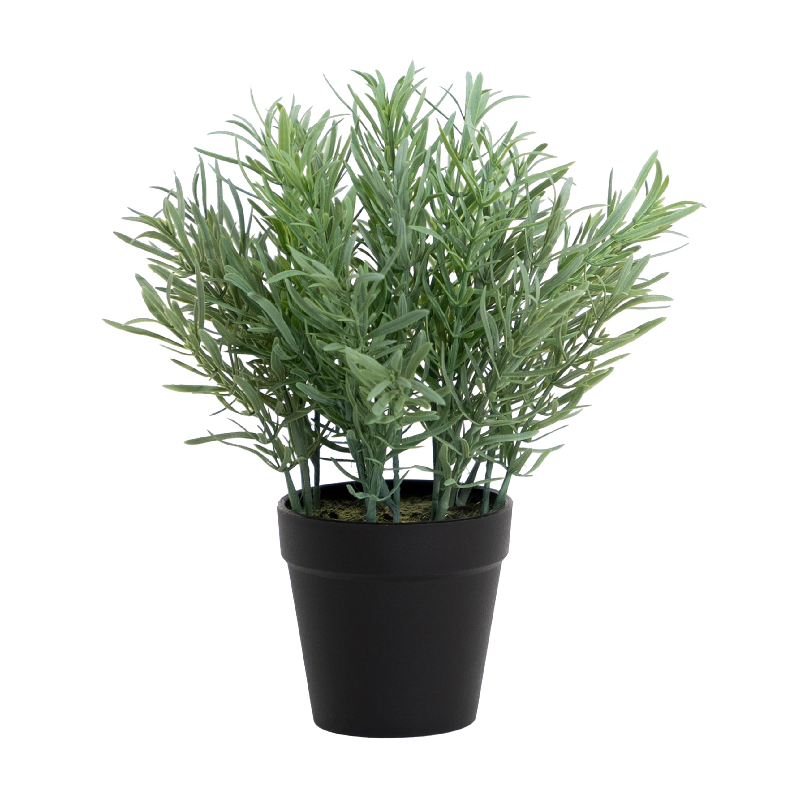 Blooming Artificial - Artificial Plant Indoors in Pot, Rosemary, Year Round Decorative Foliage for the House and Office, Charming and Rustic (Green) (25cm)
