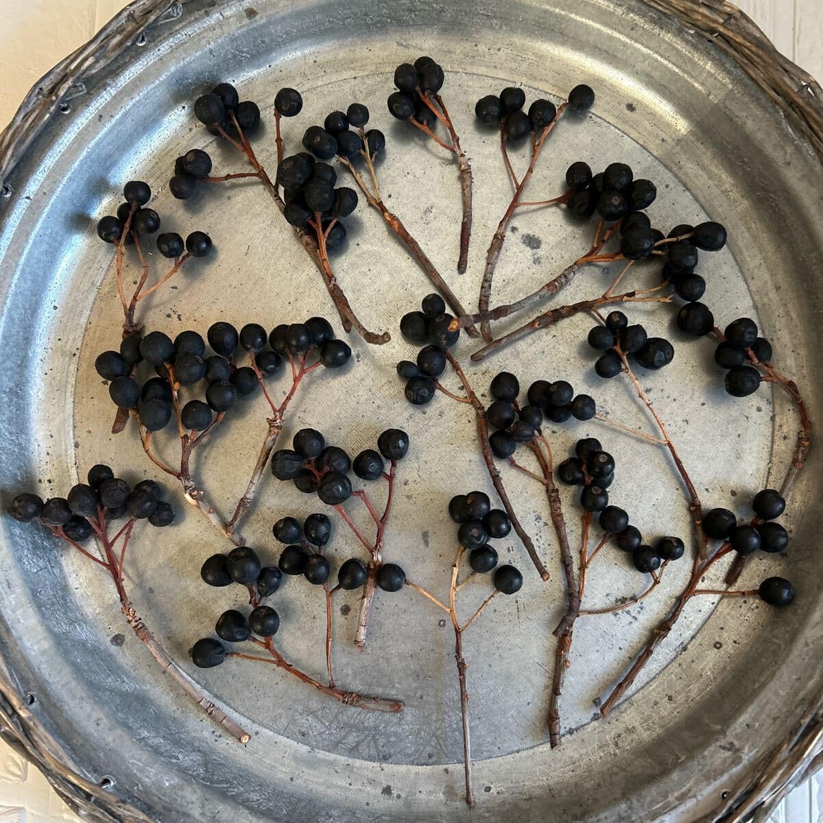 ナンキンハゼ。今年早採り。25本。ナンキンハゼの実。ドライフラワー。スワッグ。 ナンキンハゼの枝物をドライアップします✨✨ 品質良好で綺麗な