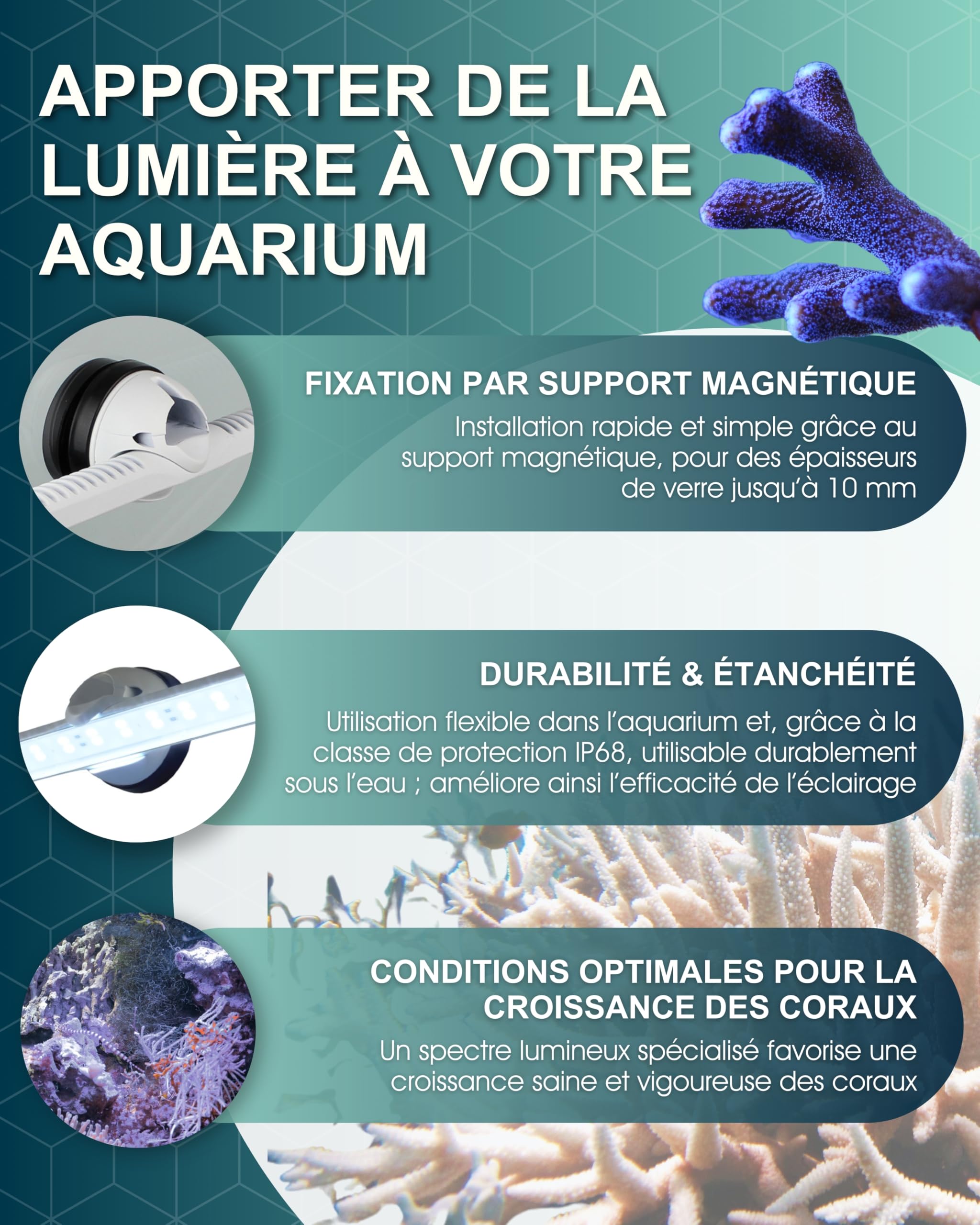 Tunze LED white eco chic I LED-Leuchte für Korallenwachstum I Aquarienleuchte für Süß- & Meerwasseraquarien I inkl. Magnet Holder I Optimal als Unterwasser Pflanzenlicht & Beleuchtung für Becken