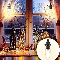 Vista 5 de Reginary Kit de 6 cables de luz colgantes, cable de extensión de cable de linterna, colgante con interruptor de encendido/apagado en línea, kit