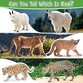 Toymany 14PCS Mini North American Forest Animals Figurines, Realistic Jungle Animal Toys Includes Elk Pronghorn Leopard Gey Fox for Kids Adults Toddlers