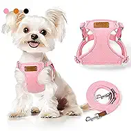 Small Dog Harness and Leash Set, Ultra Soft Suede No Pull Puppy Harness, Escape Proof Adjustable Vest for Small Dogs, Lightweight Comfort Fit for Walking Training by PROFAVO