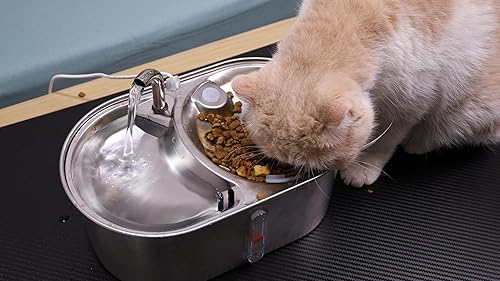 Miniatura 7 de NPET WF140 - Fuente de agua para gatos de acero inoxidable 2 en 1 con 8 filtros, fuente automática de agua para mascotas de 101 oz3 L, dispensador