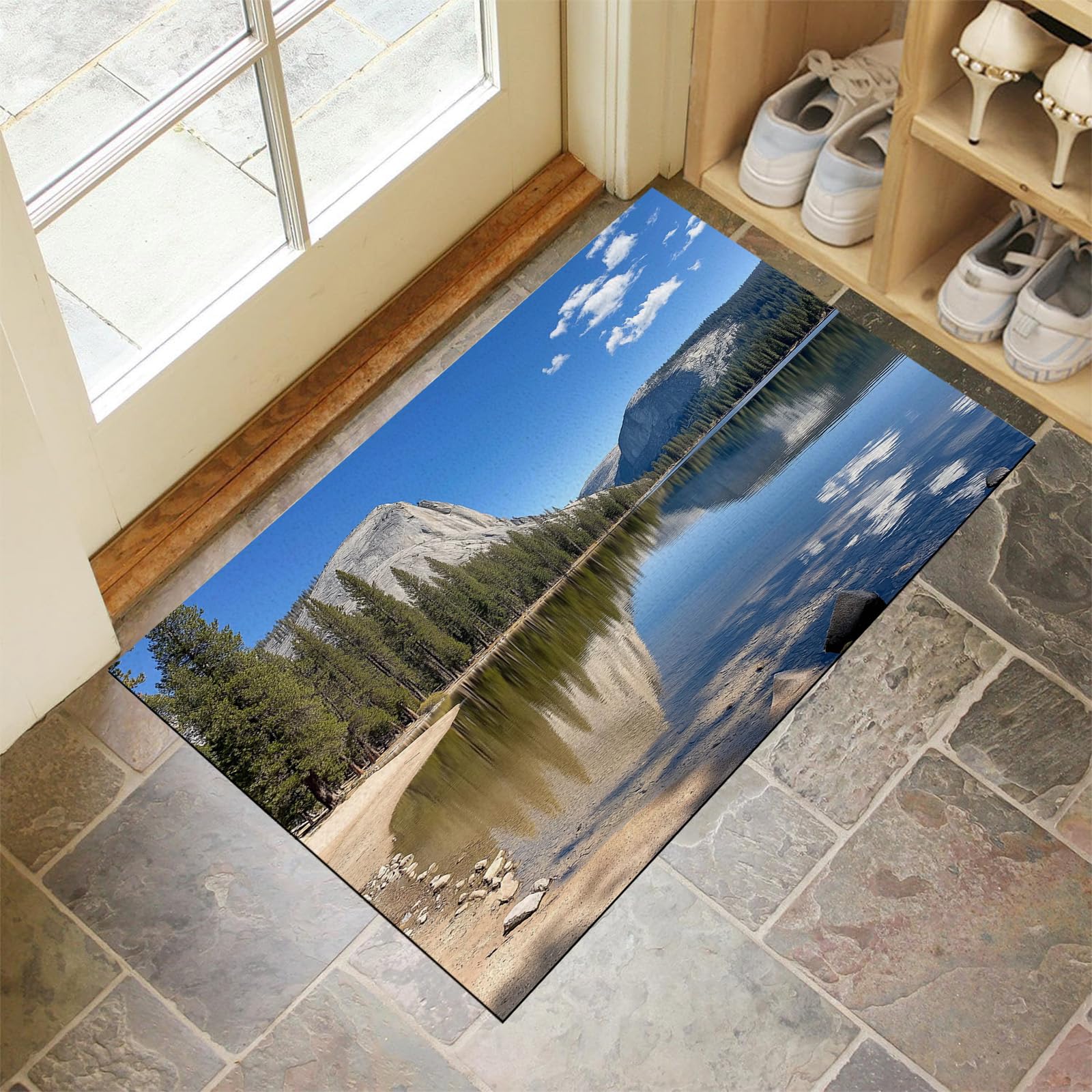 Paillasson intérieur entrée 90x150 tapis résistant paysage de rivière