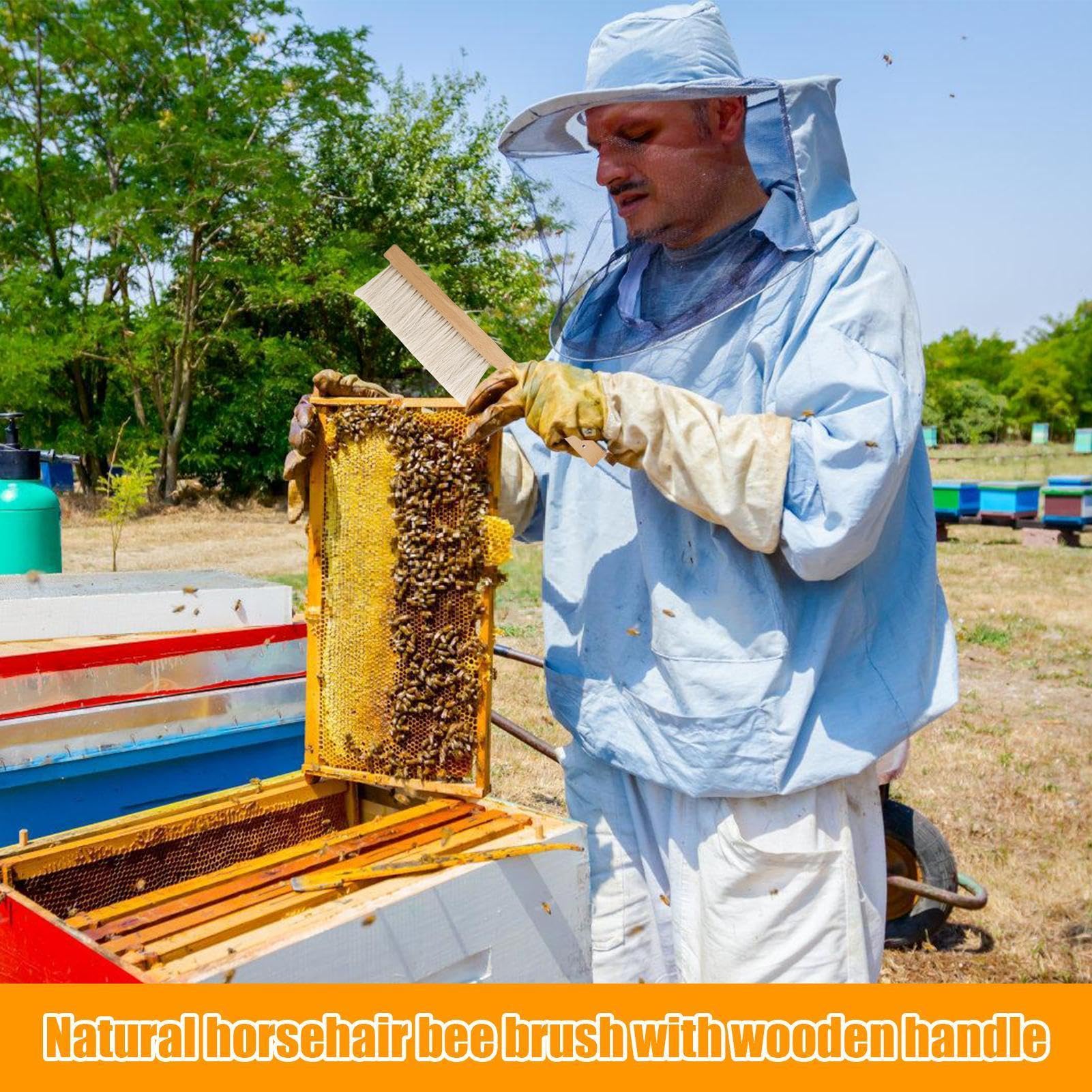 Brosse d'apiculture | 40 x 7,6 x 1 cm | Outil de Nettoyage de Ruche avec poignée en Bois Naturel en CRIN de Cheval pour Hommes, Femmes, débutants