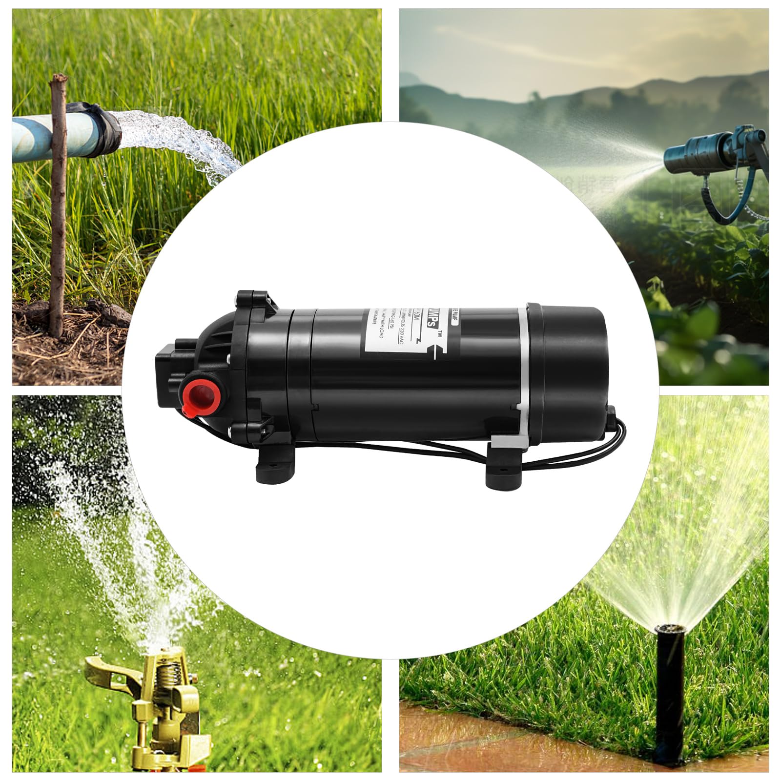Pompa dell'acqua elettrica, 220 V, 160 psi, 5,1-5,5 l/min, autoadescante, pompa di aumento della pressione, protezione da surriscaldamento, pompa a membrana, per veicoli agricoli, turistici
