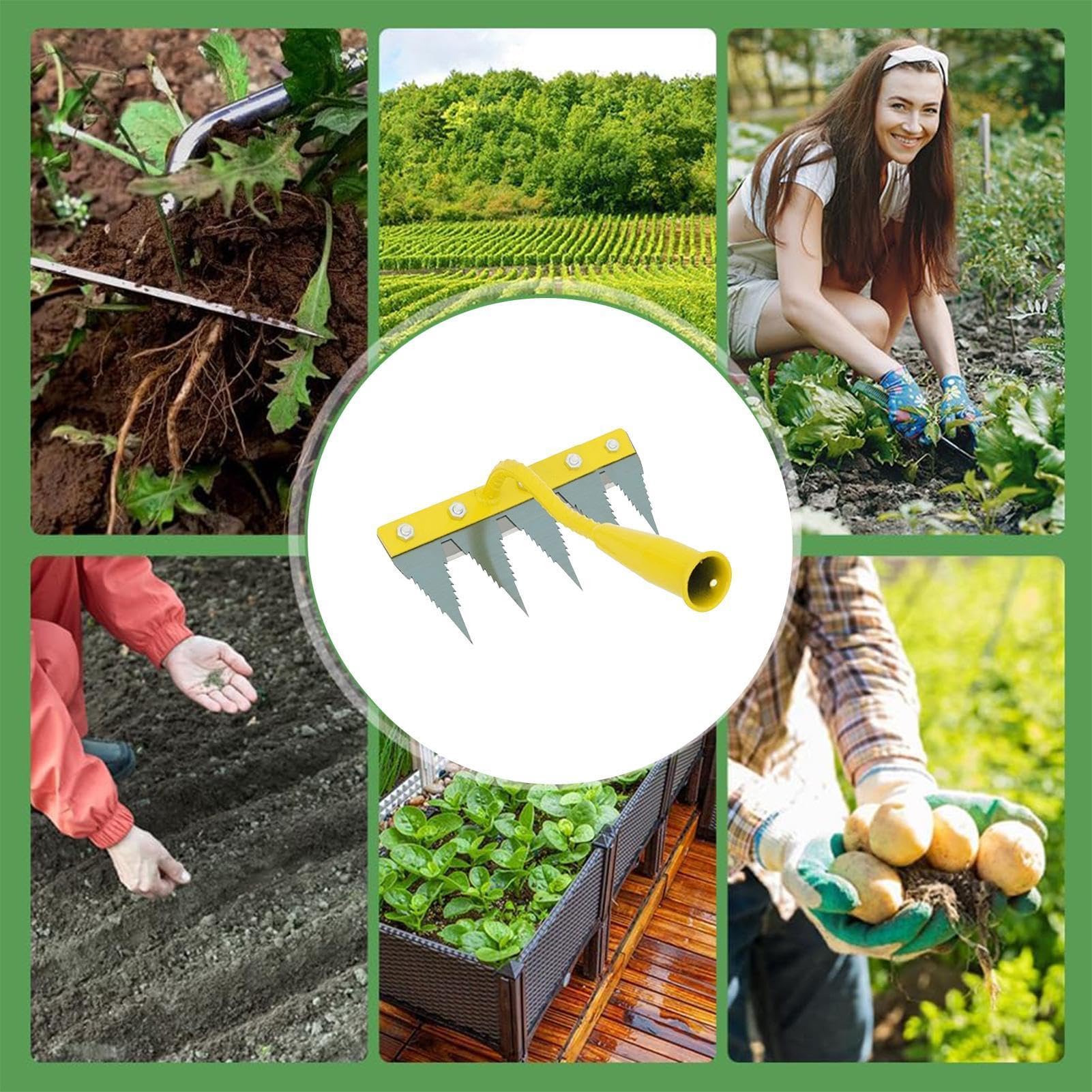 Rastrelli da giardinaggio Rastrello livellatore per lavori pesanti | Strumento rimuovi l' per Giardino, Prato, Cortile, Aiuola, Serra, Vivaio, Frutteto, Azienda Agricola, Esterno
