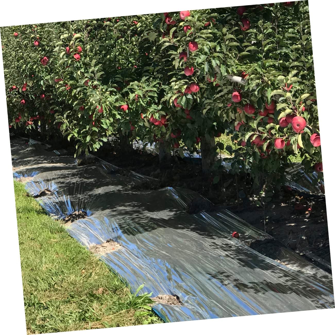 Reflective Mirror Garden Film Reflective Film for Greenhouse Insulating for Gardening