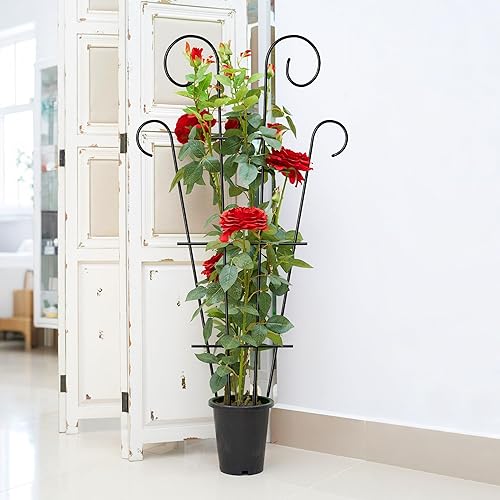 Miniatura 3 de Paquete de 4 enrejados de plantas de interior de 32 pulgadas para plantas en macetas que trepan, enrejado de metal para exteriores, plantas de