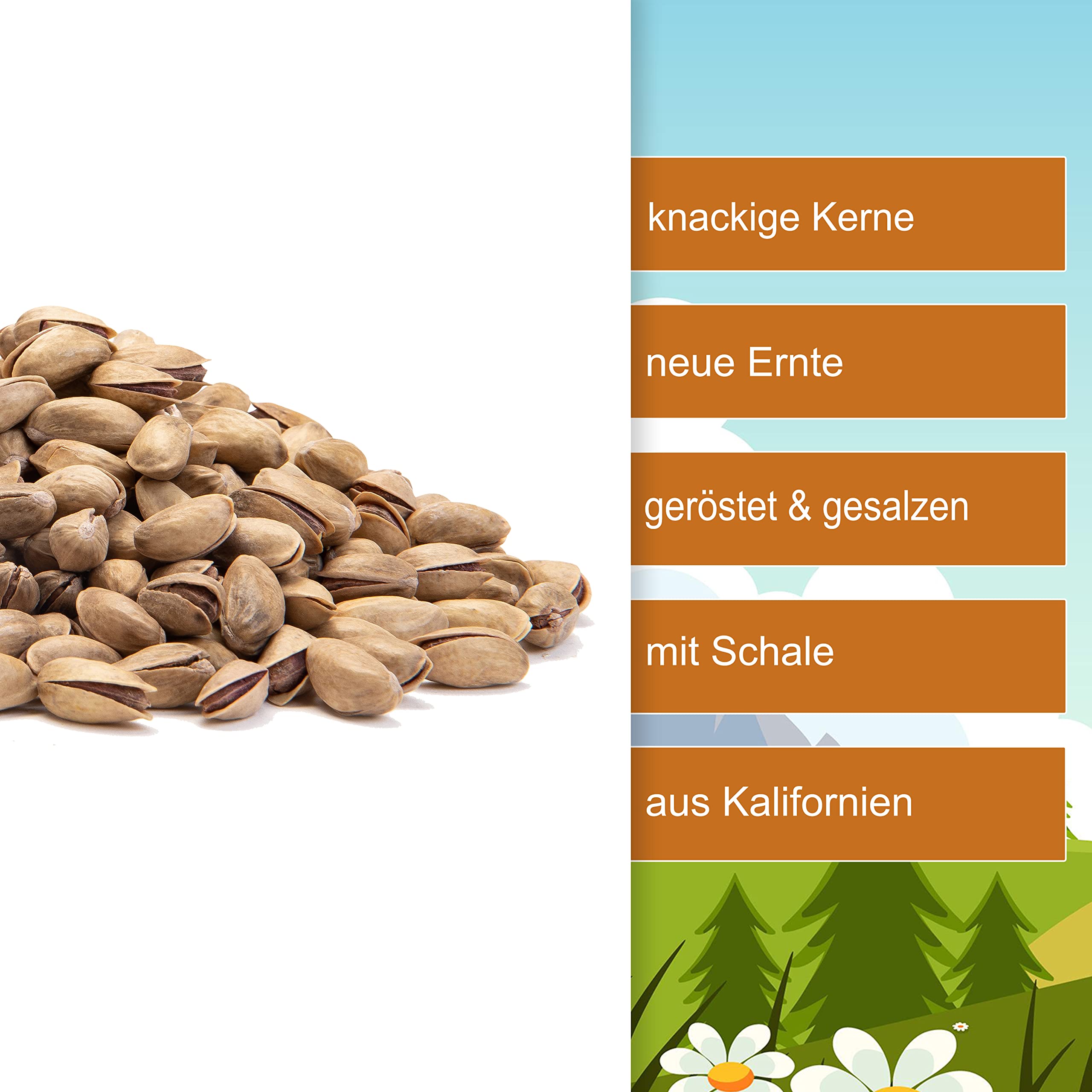 Pistazien Pistazienkerne geröstet & gesalzen 2,5kg - mit Schale knackige Kerne mit intensiv nussigen Aroma - ganze Pistazienkerne gesalzen vegan ungeschwefelt - 100% Natural aus Kalifornien (2,5kg)