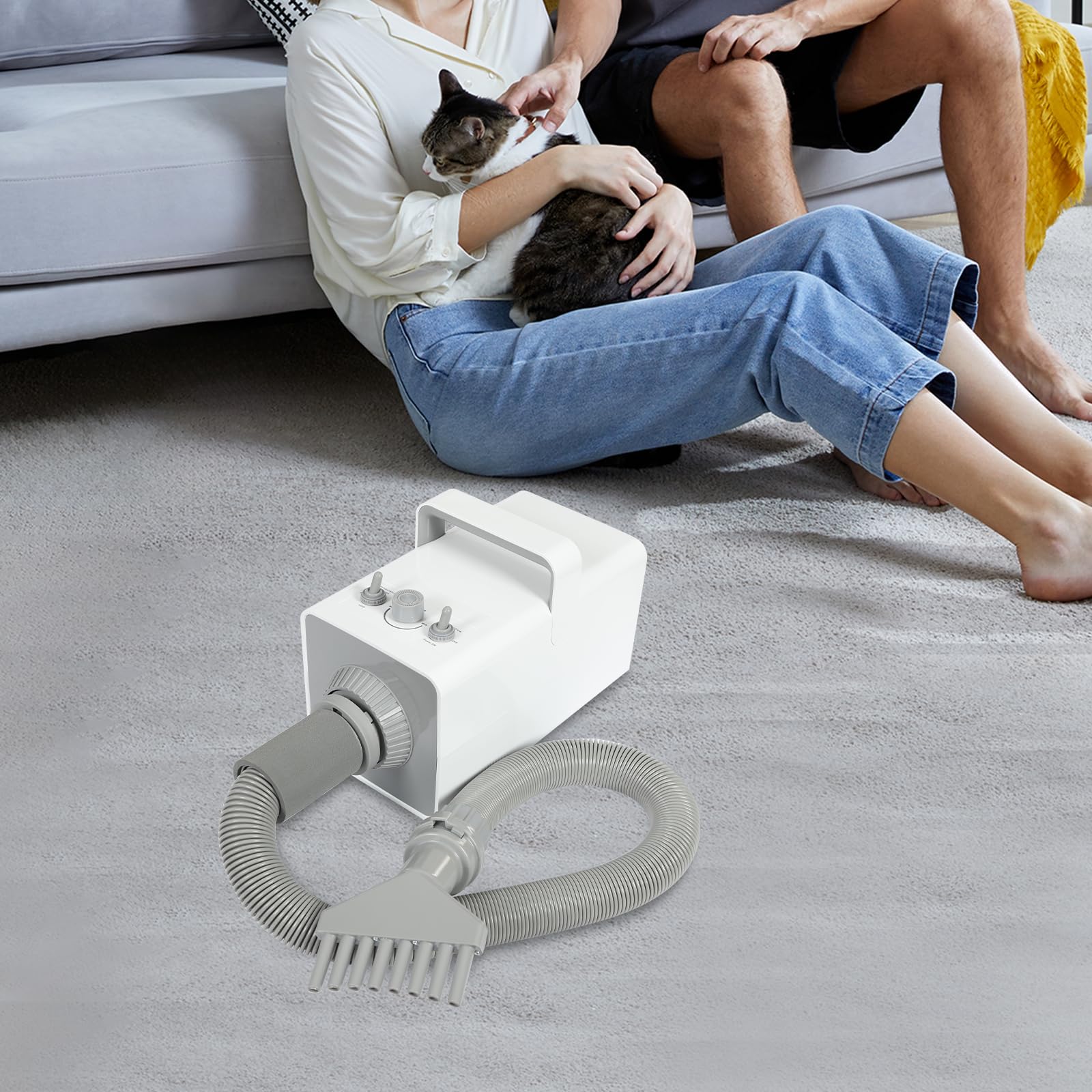 Asciugacapelli per cani e animali domestici, 2800 W, regolazione