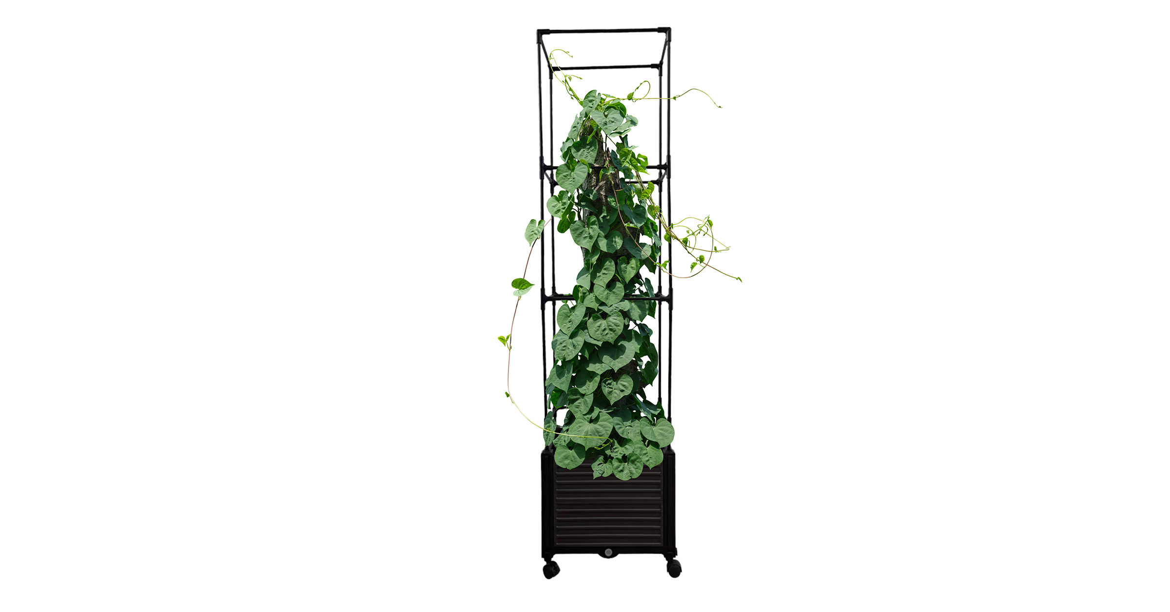 Trellis Planter Maxona Box With Casters - 63" Tall Adjustable Garden Planter For Climbing Plants Trellis Planter Box