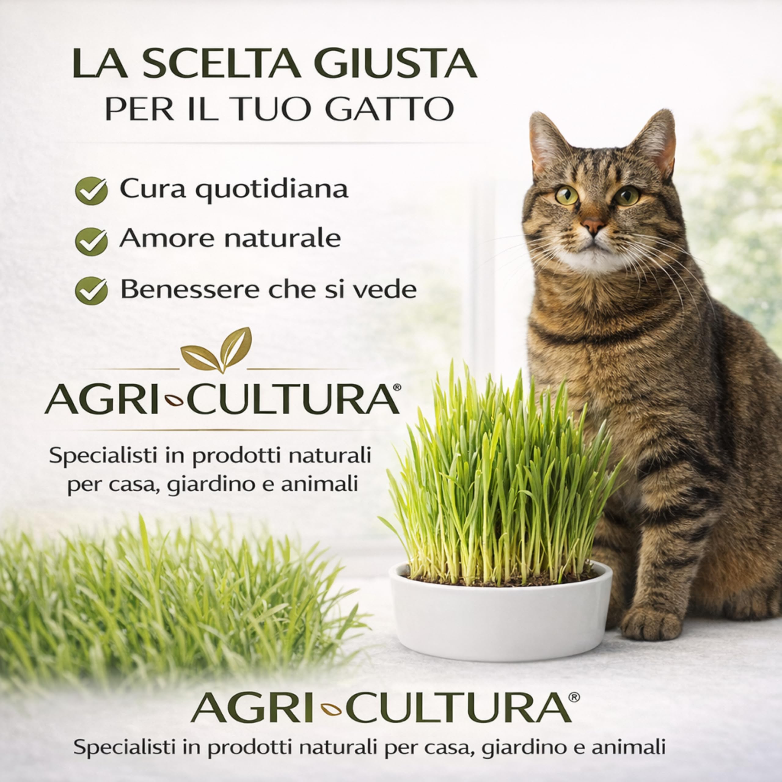 AGRI-CULTURA® | Semi Erba Gatta Naturale | Bustina di Semi di Erba per Gatti Facile da Coltivare in Casa | Favorisce la Digestione e Riduce i Boli di Pelo.