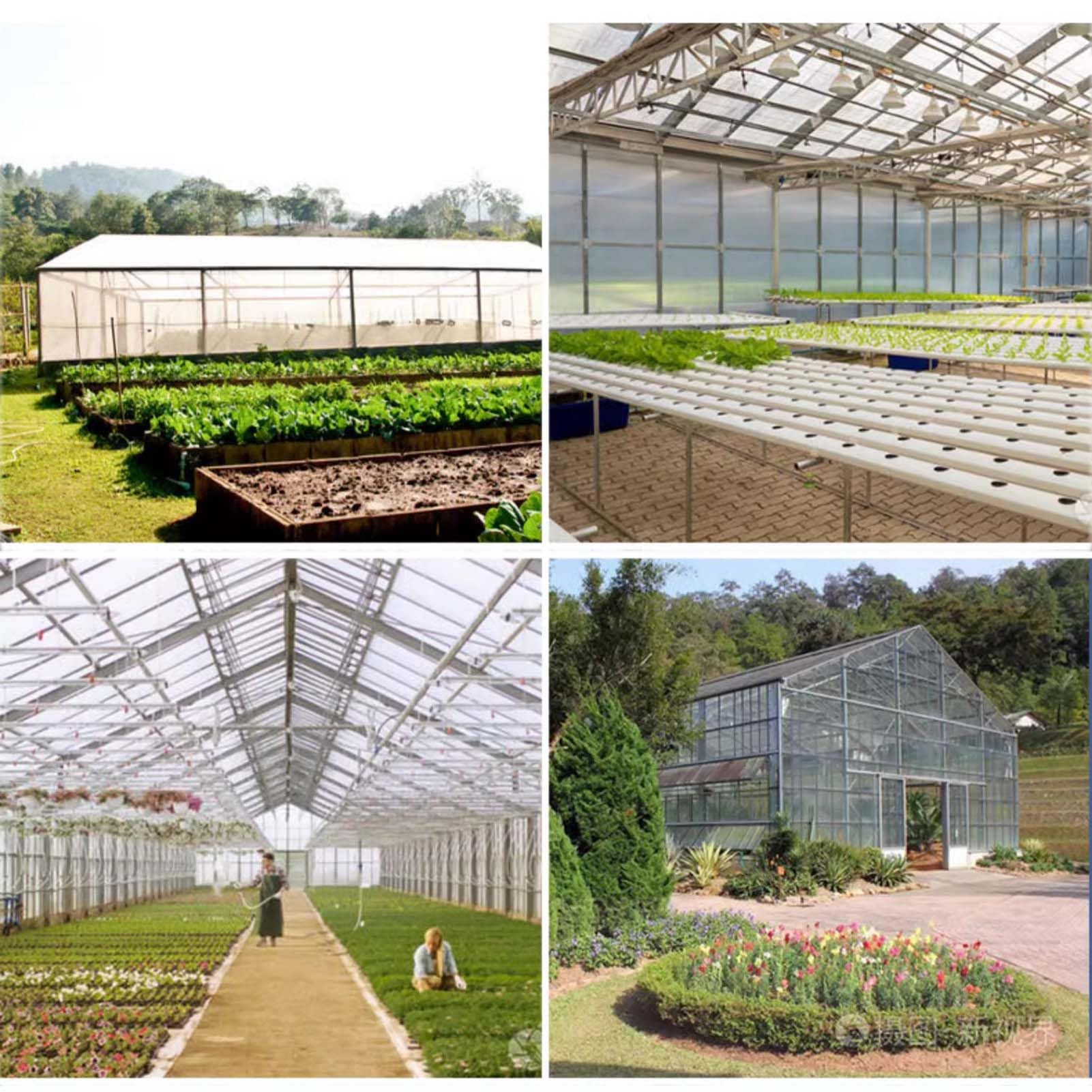 SRHIMEOS Lona con Ojales Exterior 2x6m, Lona De Protección Transparente Impermeable, Lonas para Piscinas con Ojales, Resistente a Los Rayos UV, Cubierta Multiusos