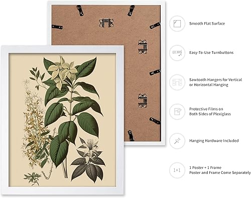 Miniatura 101 de Poster Master Póster vintage de orquídea, estampado de flores retro, arte de pared de plantas exóticas, arte botánico, regalo para hombres y