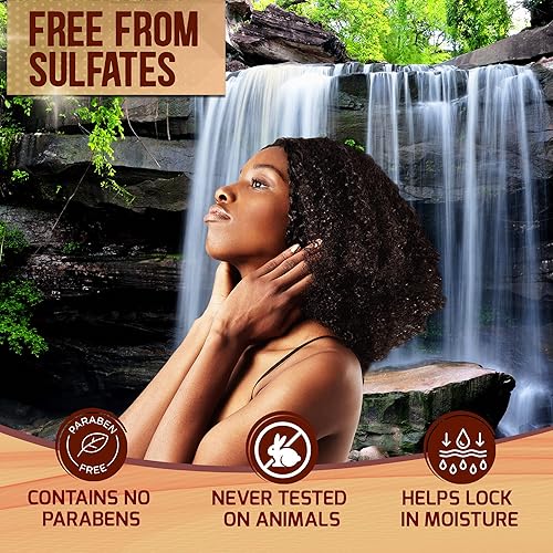 Miniatura 3 de Champú marroquí con aceite de argán, tratamiento hidratante sin sulfato SLS sin parabenos para mujeres y hombres, para todo tipo, incluyendo cabello