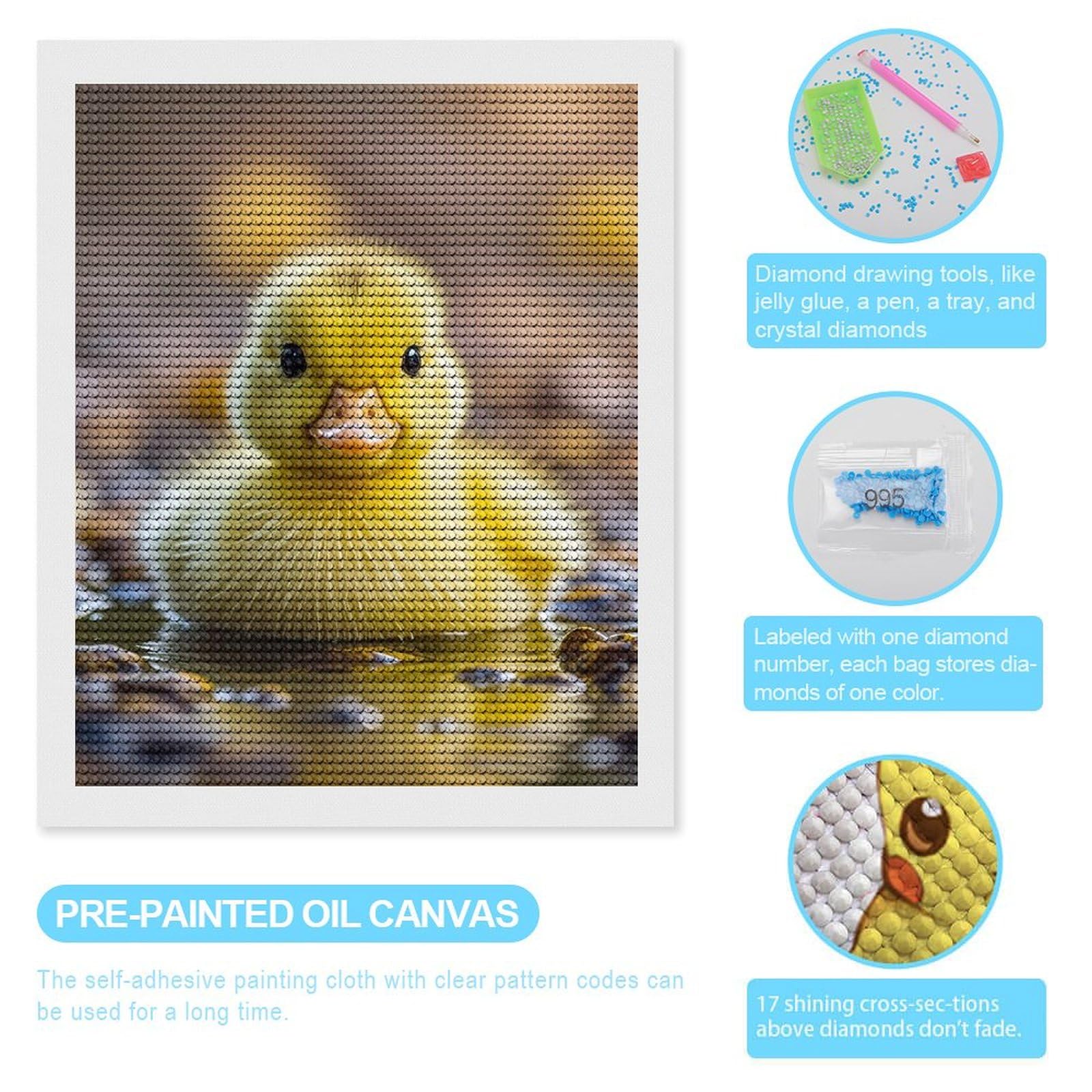 Amazon.com: QMKFWT Cute Ducks Diamond Art Wall Kits Round Full