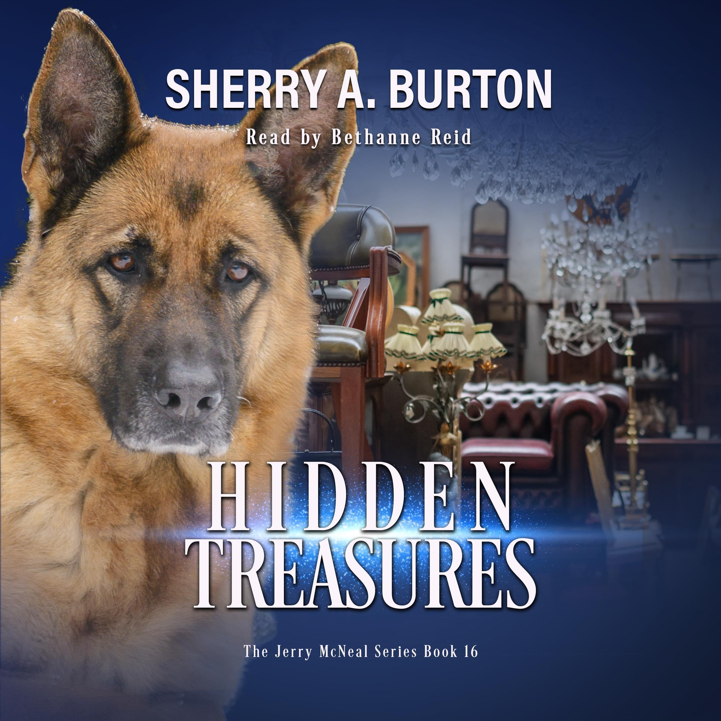 Cover art for Hidden Treasures