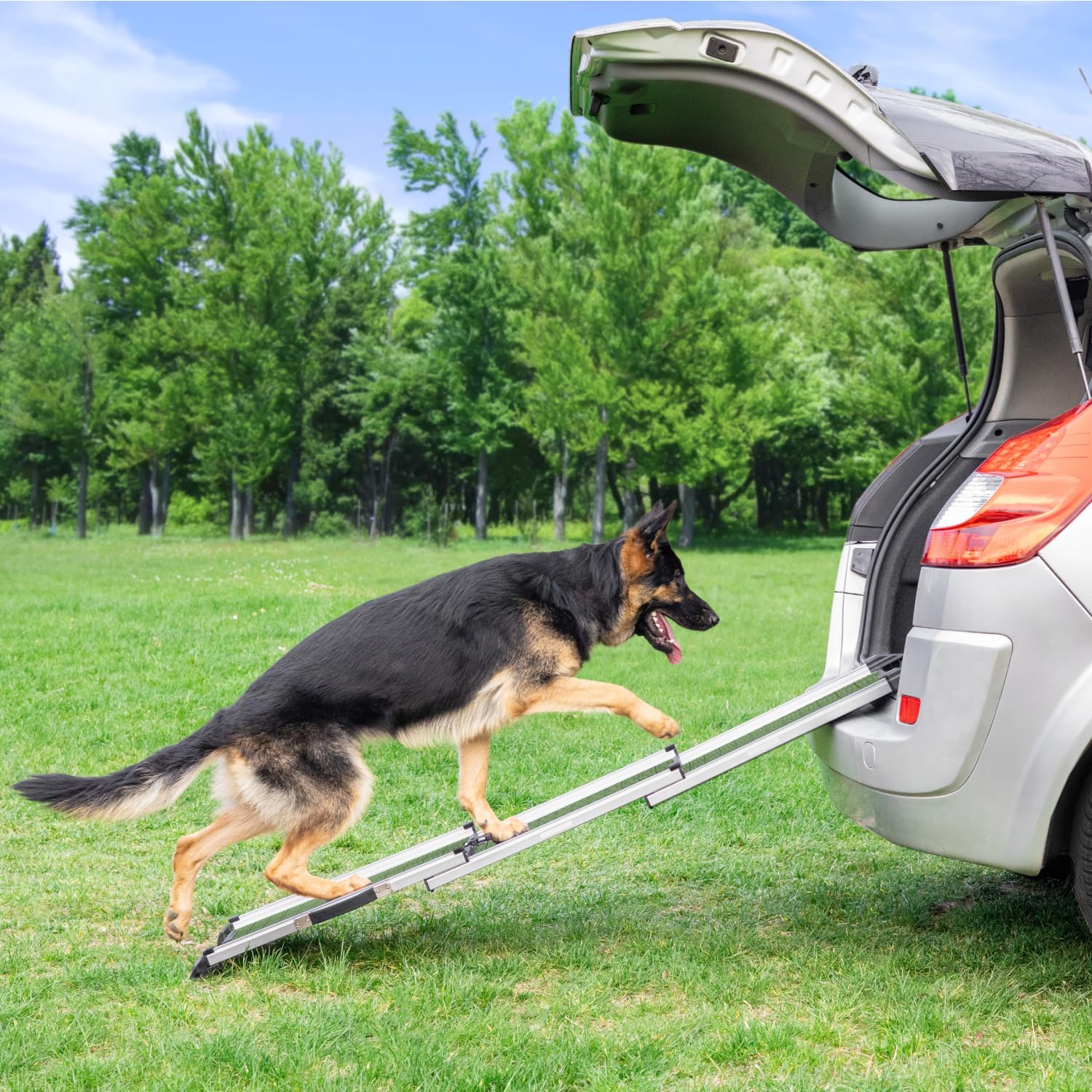 Hunderampe Auto Klappbar - Stabile und rutschfeste Hundeleiter Auto & SUV bis zu 90kg Belastbar - Teleskop Alu Rampe für große Hunde - Reflektierende Seiten - Hundetreppe - Befestigungsclip - Grün