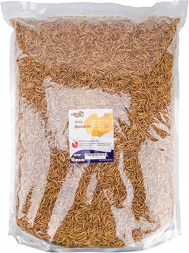 Vista 18 de RANZ Gusanos de harina secos sin OMG de 2 libras para pollos, gusanos de comida con alto contenido de proteínas, alimento premium para pollos