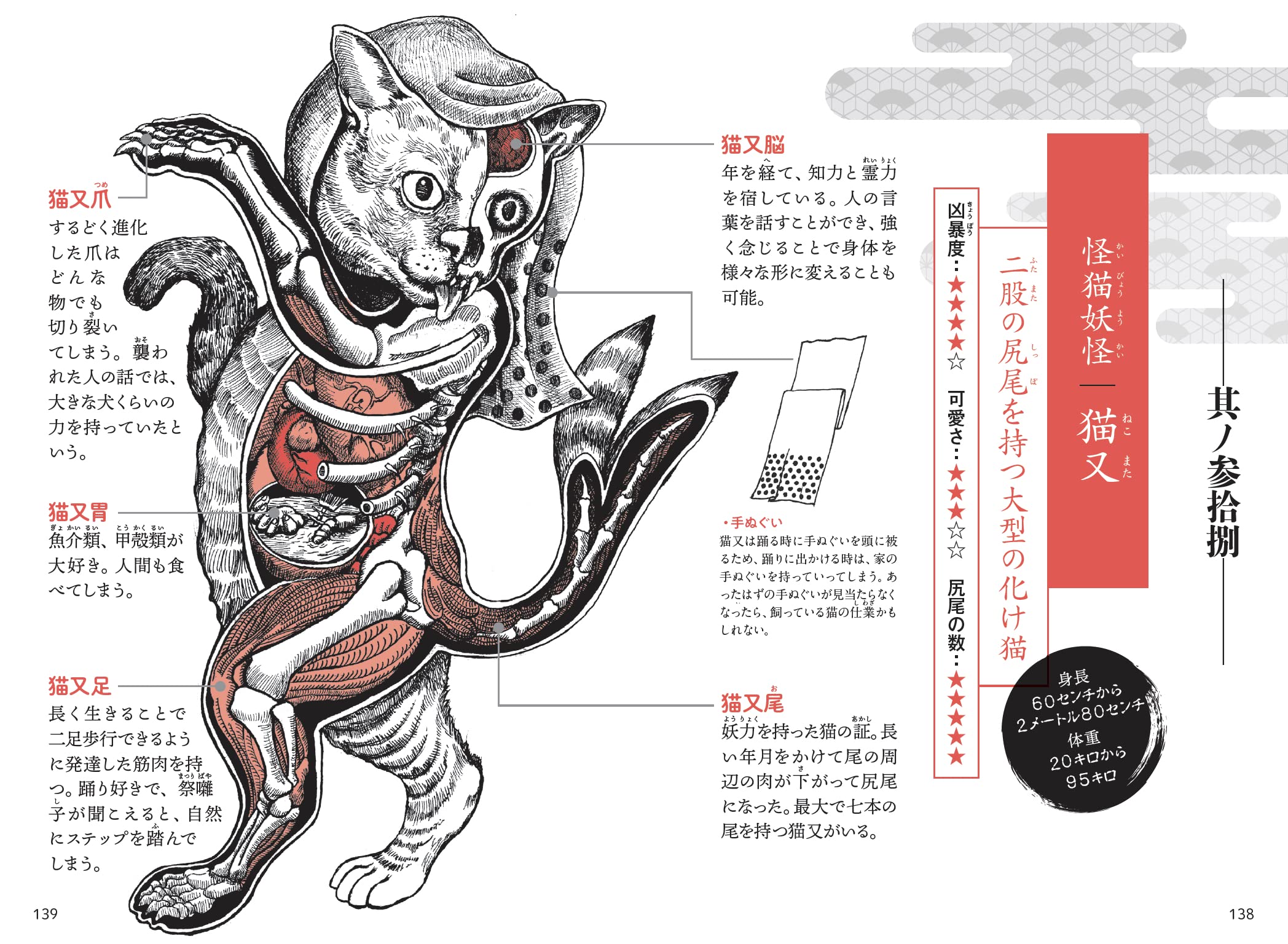 空想 妖怪解剖図 天野 行雄 本 通販 Amazon