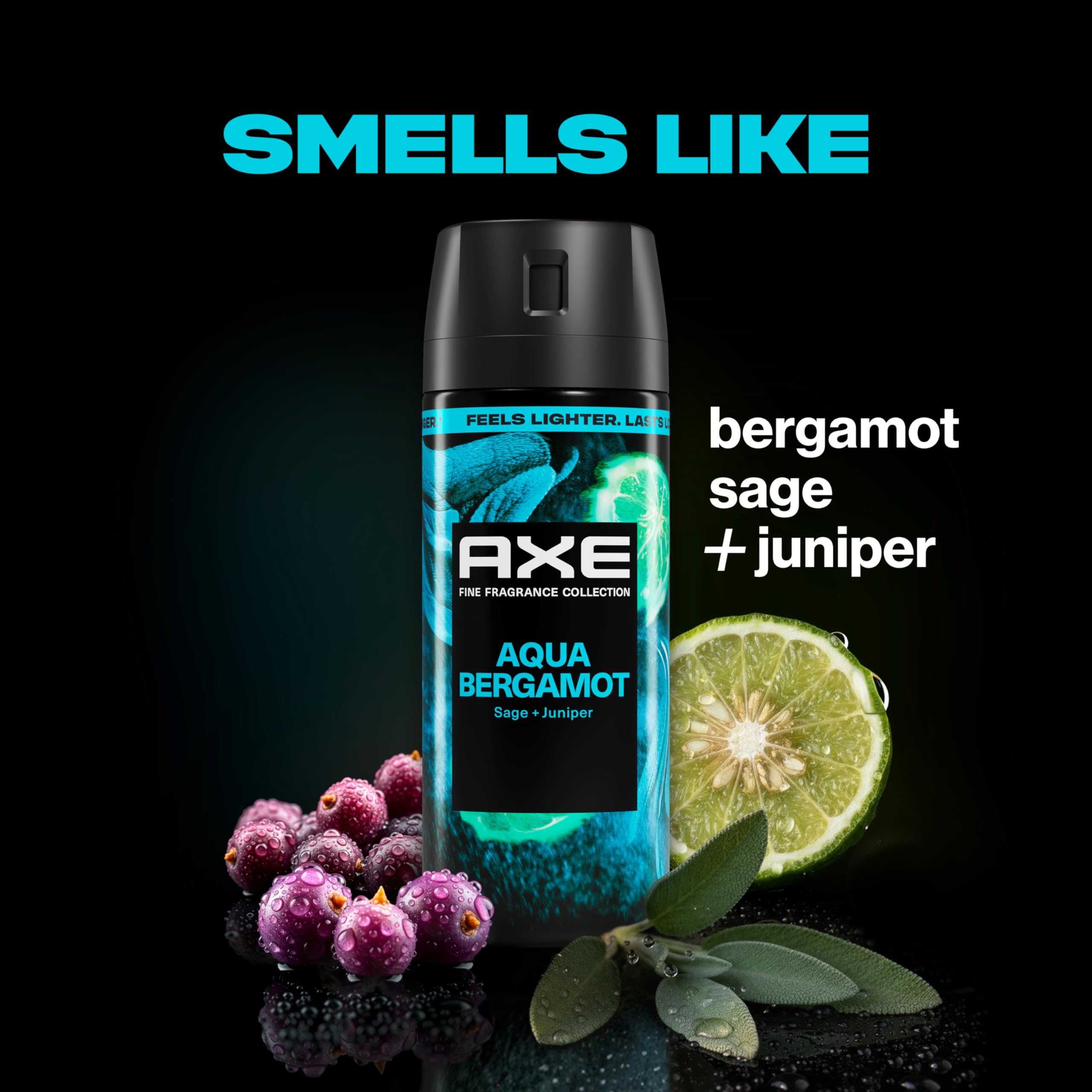 AXE Everyday Essentials Body Spray 4 Count Aluminum-Free 72-Hour Freshness