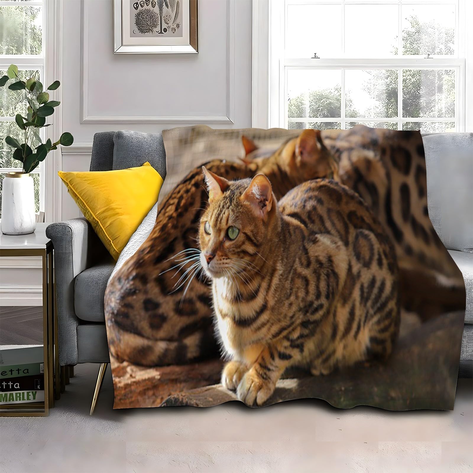 Couverture polaire chat tigré épaisse et ultra douce pour grand canapé