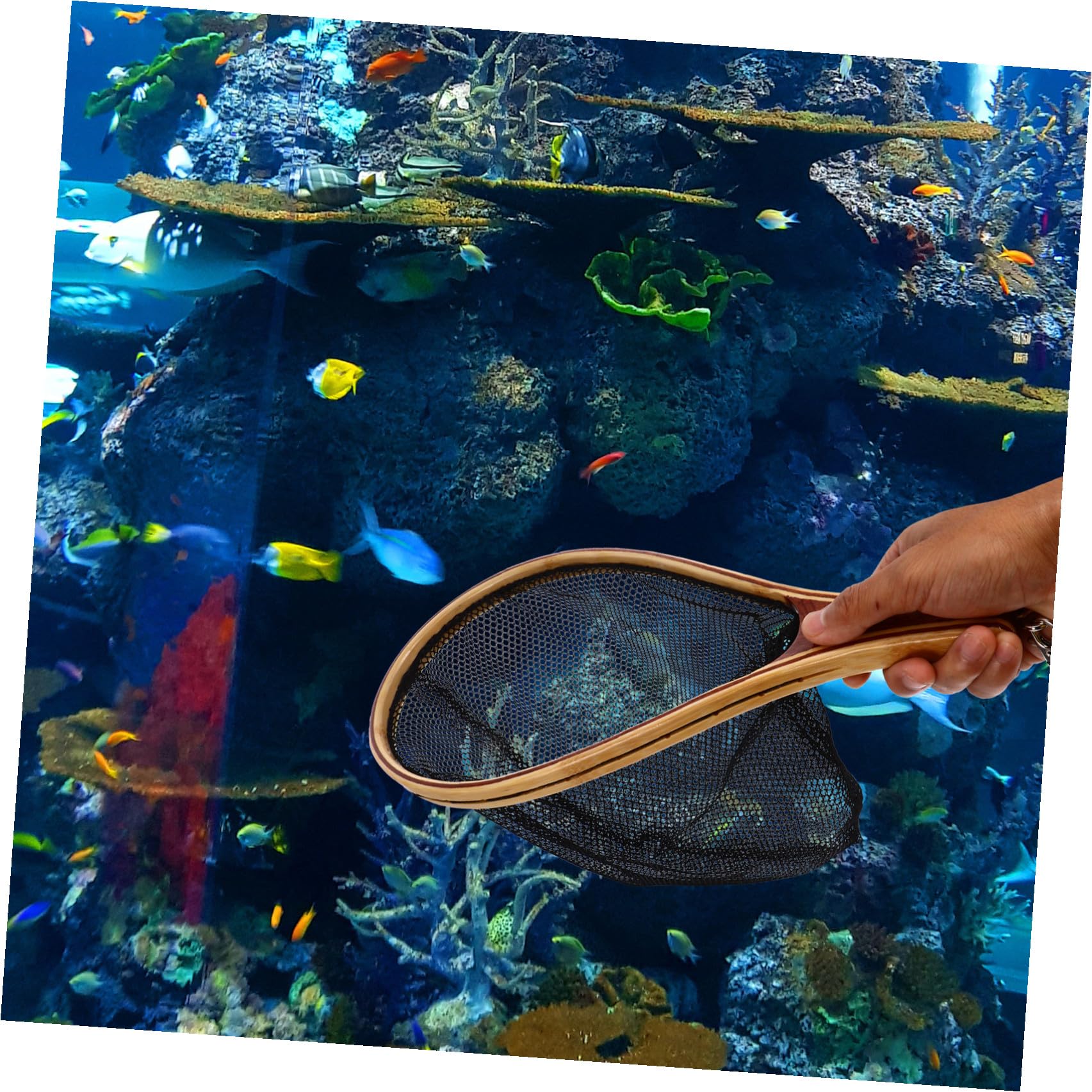 Toyvian Fliegenbindestock Kescher mit Bambusgriff und Faltbarem Schwarzem Netz Leichtes Fischernetz für Aquarium und Fischerei Zubehör mit Starker Praktikabilität