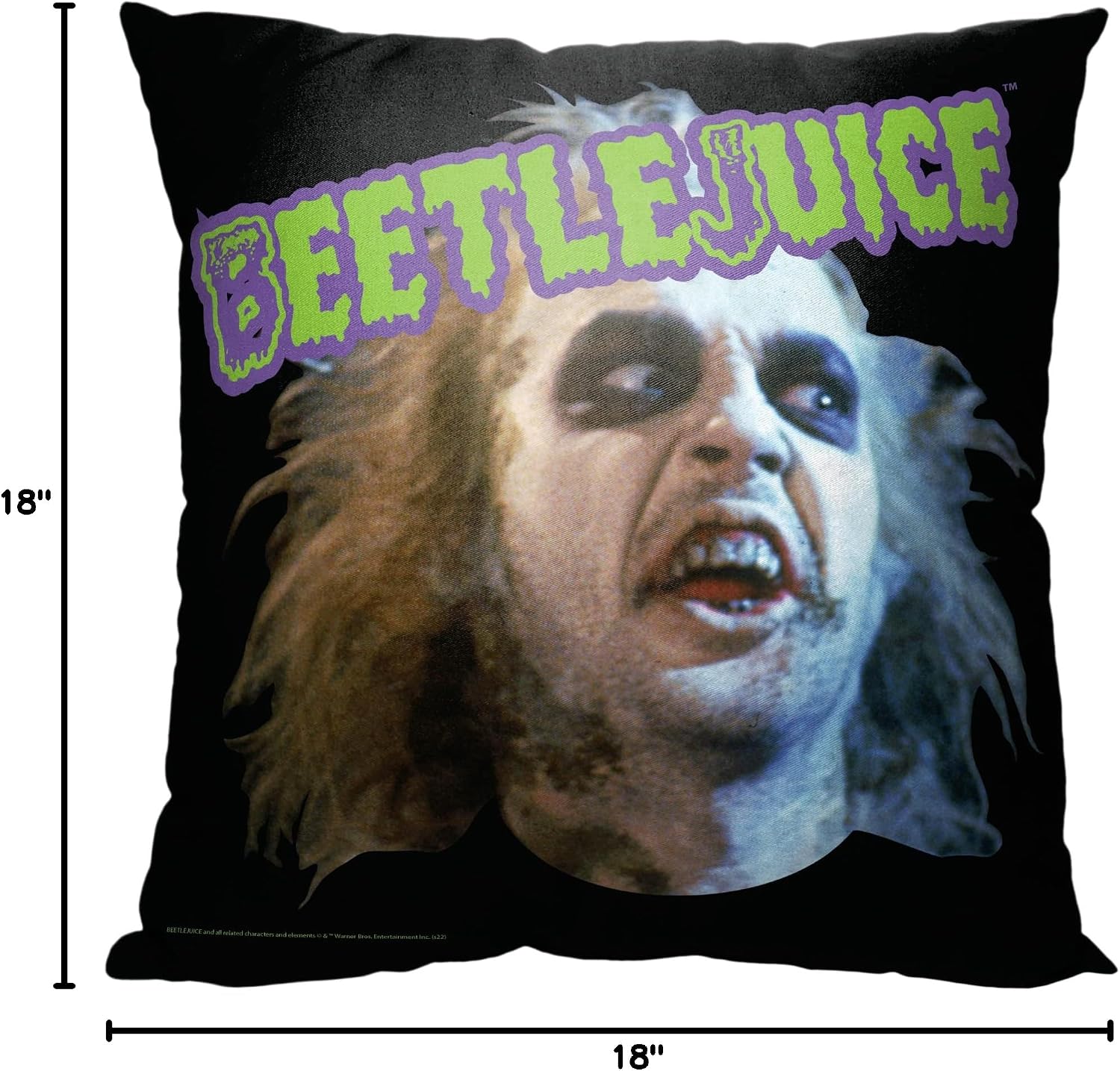 NORTHWEST Beetlejuice Pillow, 18" x 18", World Tour