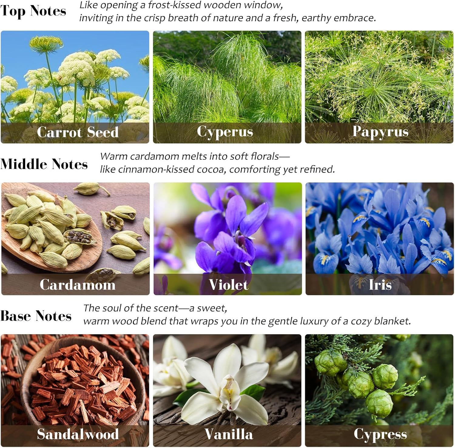 Viyffo Scented Candle – Sandalwood Aroma, Gift-Size 6.35oz Holiday Candle, Non Toxic Soy Candle in Handmade Snow White Plaster Ceramic Jar with Gift Box Perfect for Winter Gifts & Home Decor - Image 8