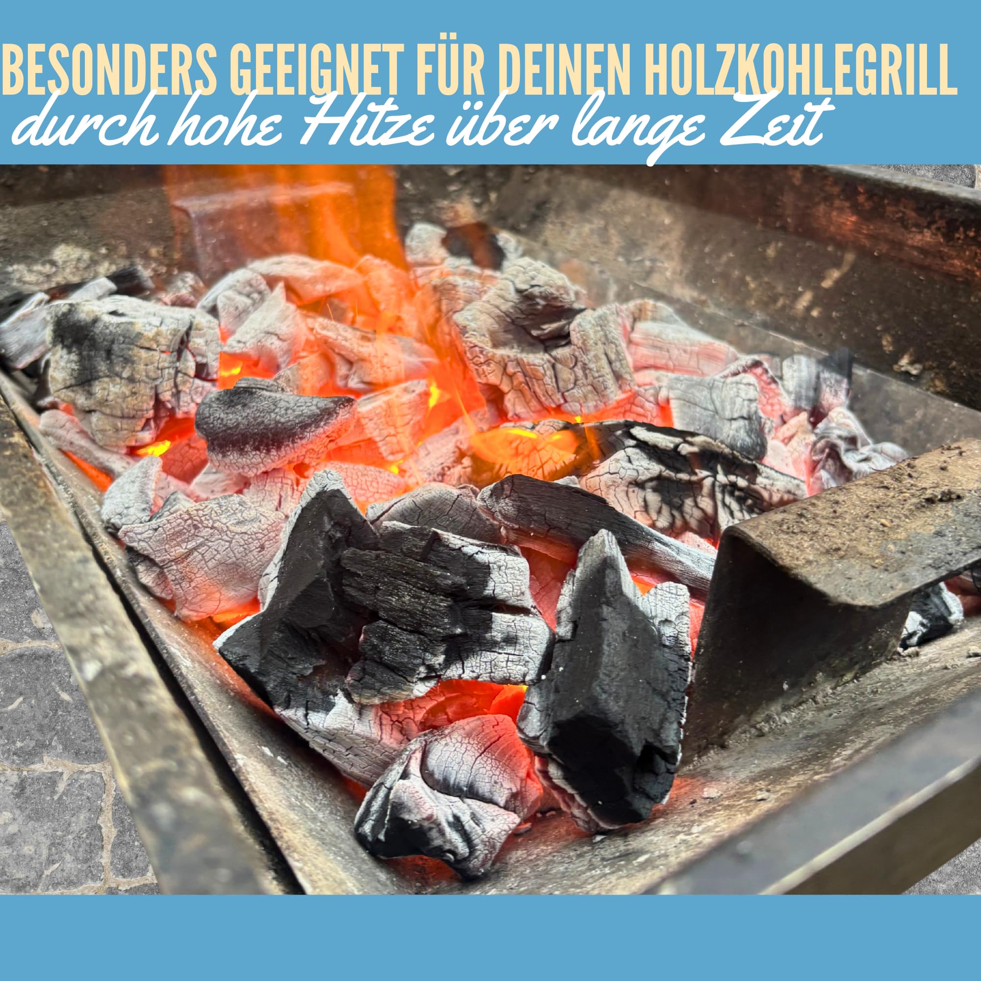 Restaurantgrillkohle 10 kg – Premium Hainbuchen-Holzkohle für langanhaltende Glut - FSC Zertifiziert