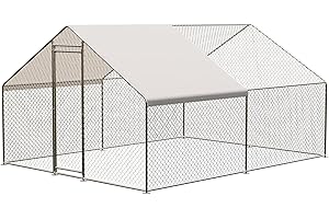 Walk-In Chicken Coop Large