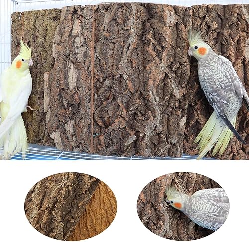 Miniatura 3 de Paquete de 2 perchas de corcho 100% natural de 16 x 12 pulgadas, tablas de asiento de corcho para pájaros, accesorios de decoración de corteza de