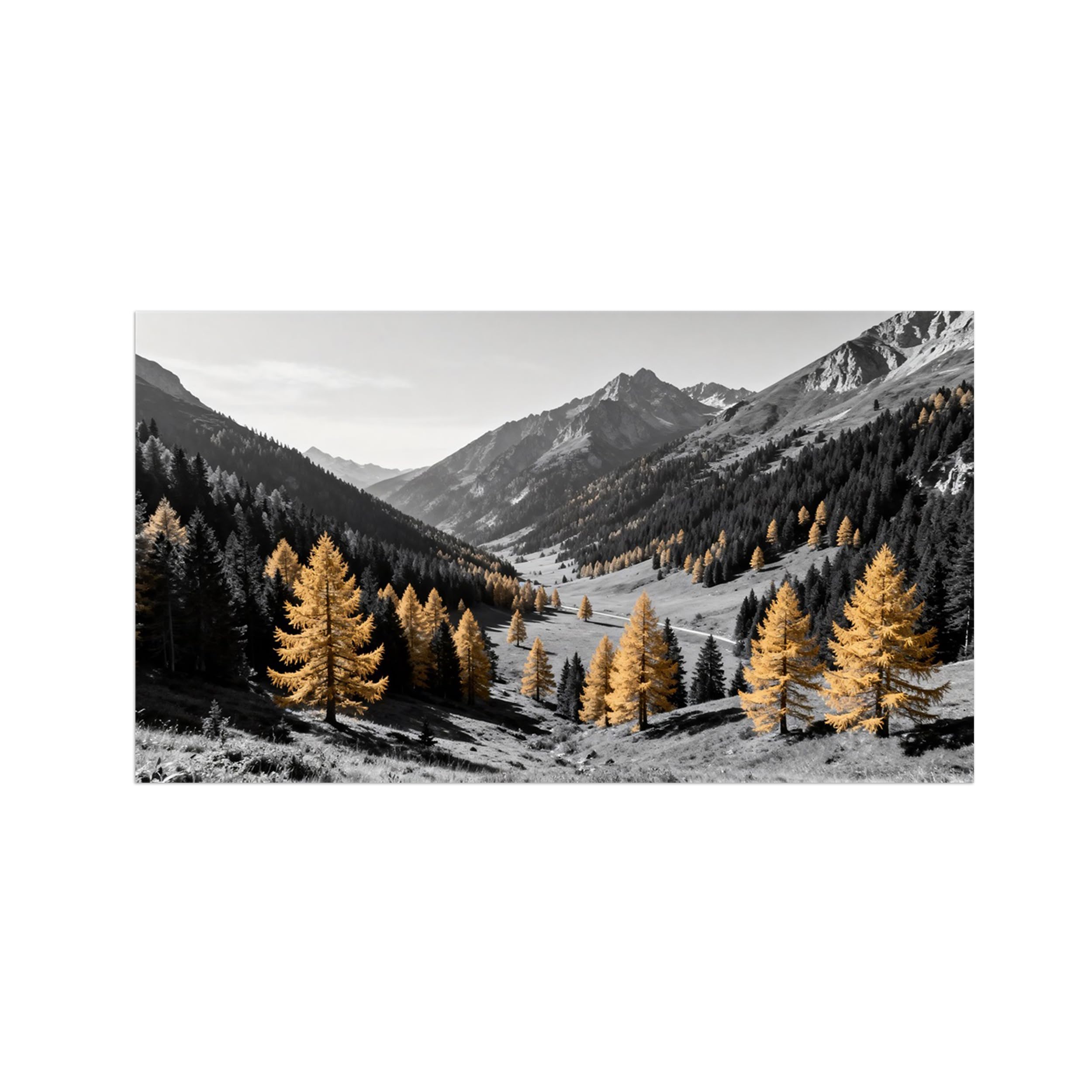 Autumn Forest Black White Landscape Wall Art Prints 70x125cm Unframed