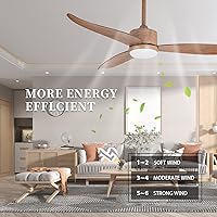 Vista 2 de Ventiladores de techo con luces, ventilador de techo de 52 pulgadas para interiores y exteriores con control remoto, 3 aspas de ventilador ABS