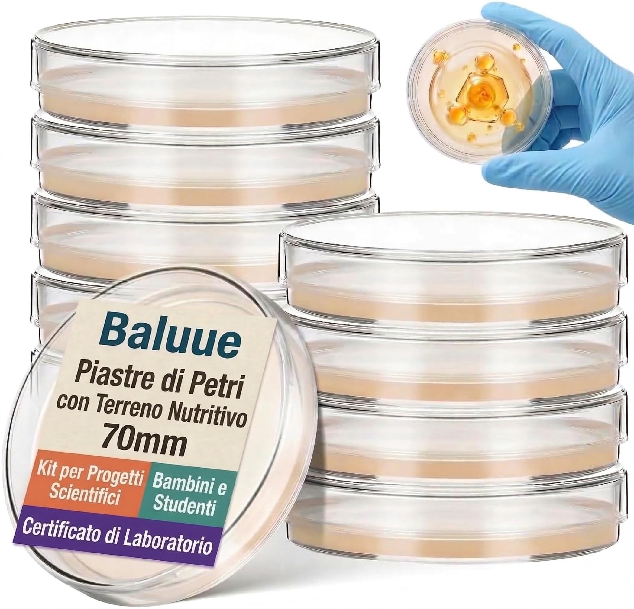 Baluue 10 Pezzi Piastre Di Petri Con Agar, Petri Pre-Versate Nutriente Per Microbiologia Di Laboratorio, Esperimenti Scientifici E Progetti Stem Degli Studenti, 70mm