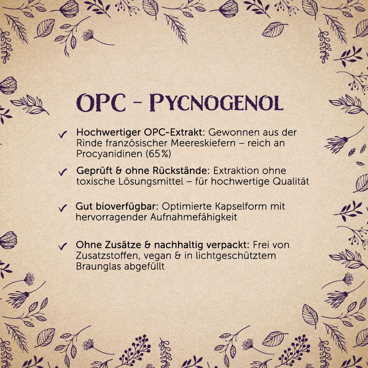 Waldkraft OPC Kapseln | Mit Pycnogenol® aus französischer Meereskiefer | 65 % Procyanidine | Hochwertig und ohne Zusatzstoffe | Vegan | 60 Kapseln im Braunglas