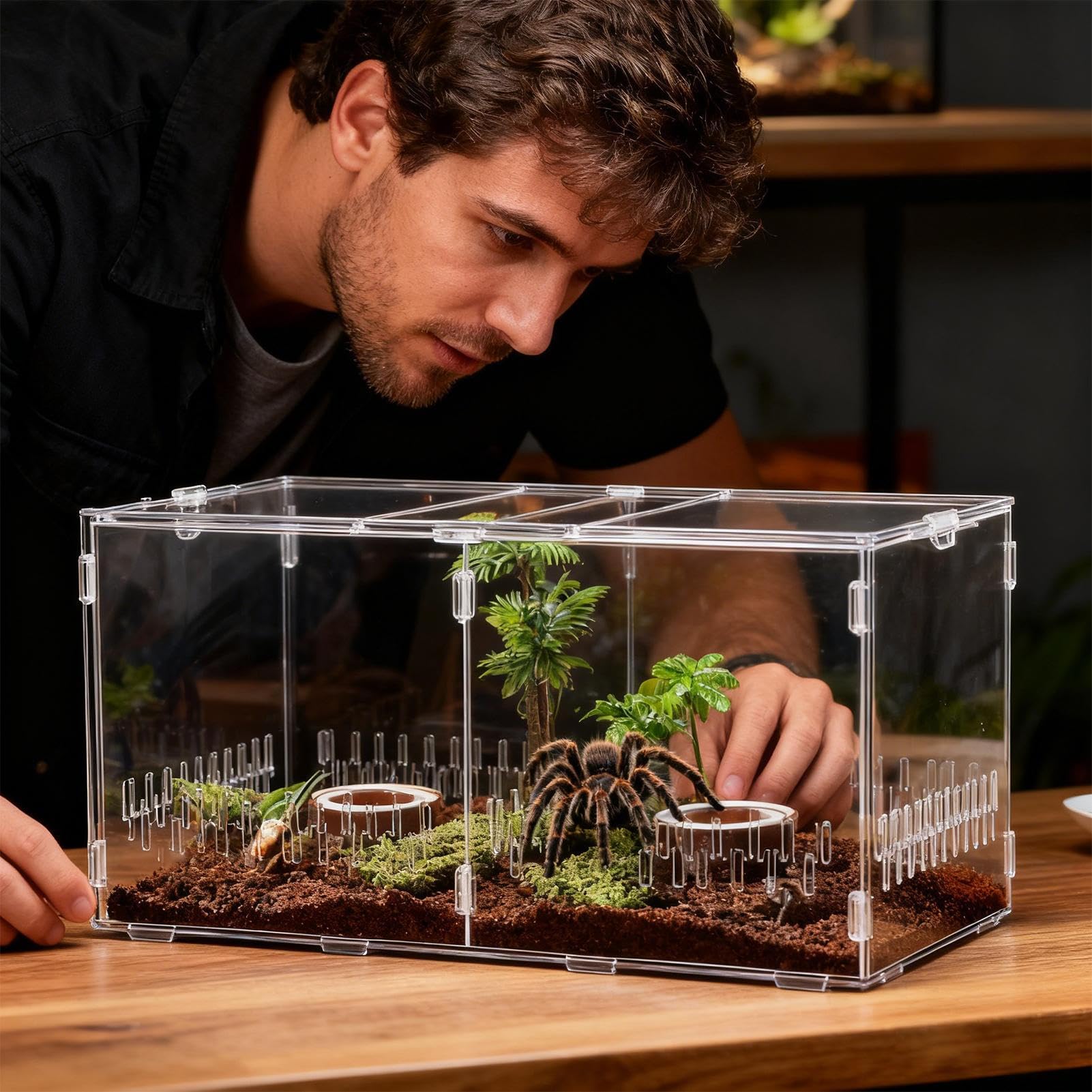 Terrarium Dla Skaczących Pająków Przezroczyste Akrylowe Terrarium