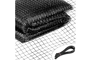 Garden Netting: Ultimate Protection for Your Precious Plants