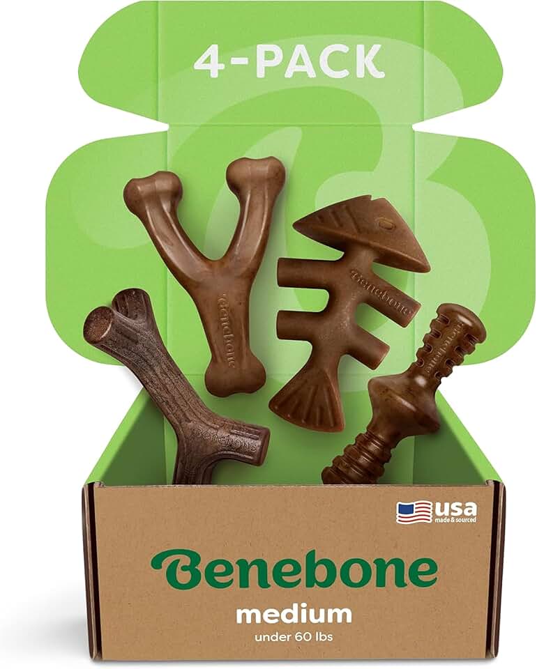 Benebone 中型 4 件裝狗玩具，適合攻擊性咀嚼者 – 耐用的狗骨頭，美國製造 – 適合 60 磅以下中型狗的狗玩具