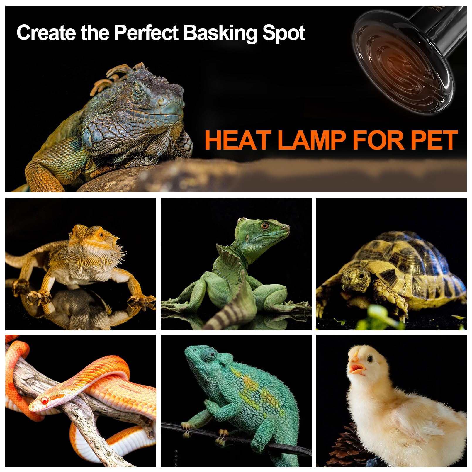 BNOSDM Reptile 150W Ceramic Heat Emitter,4 Pack Reptiles Heat Lamp Bulbs,Brooder Coop Heater Lamp Bulb for Amphibian Reptiles Turtle Lizard Chicken - image 8