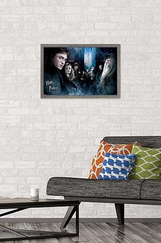 Vista 25 de Trends International Harry Potter y el príncipe mestizo - Póster de pared de la fraternidad, 22.375 x 34 pulgadas, versión premium sin marco