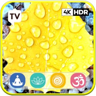 Just Sleep: Relax your body Rain sound Relax with the best rainy sounds For Fire TV - NO ADS