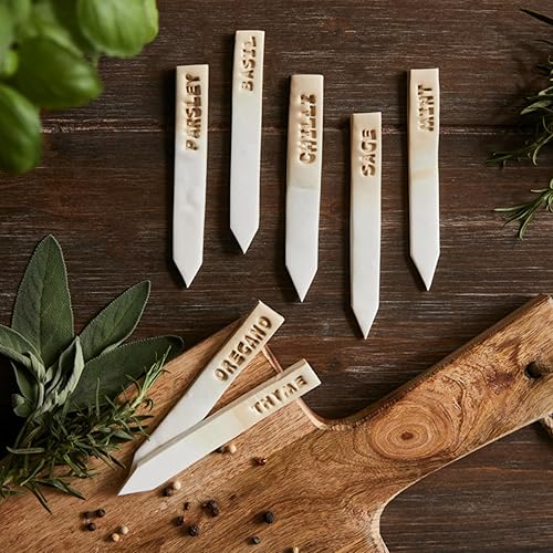 Miniatura 5 de STAEDTLER FIMO Arcilla de polímero suave blanca, 1 libra, arcilla horneada para modelar, joyas, esculpir, no tóxica, artes y manualidades y