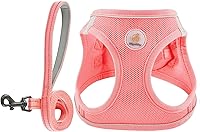 Hipubby No Pull Dog Harness & Leash Set for Small Medium Dogs Cats - Reflective Breathable Step-In Vest, Pink XS