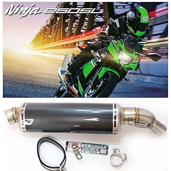 ニンジャ250SL スリップオンマフラー Ninja250SL（ニンジャ） - スリップオン - バイク王ダイレクト