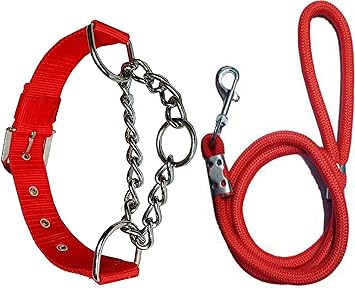 Pedigone Nylon Dog Belt Combo of Red Choke Collar with Red Lead 1.5m Lengthy Dog Collar & Leash for Your Pet Dogs.