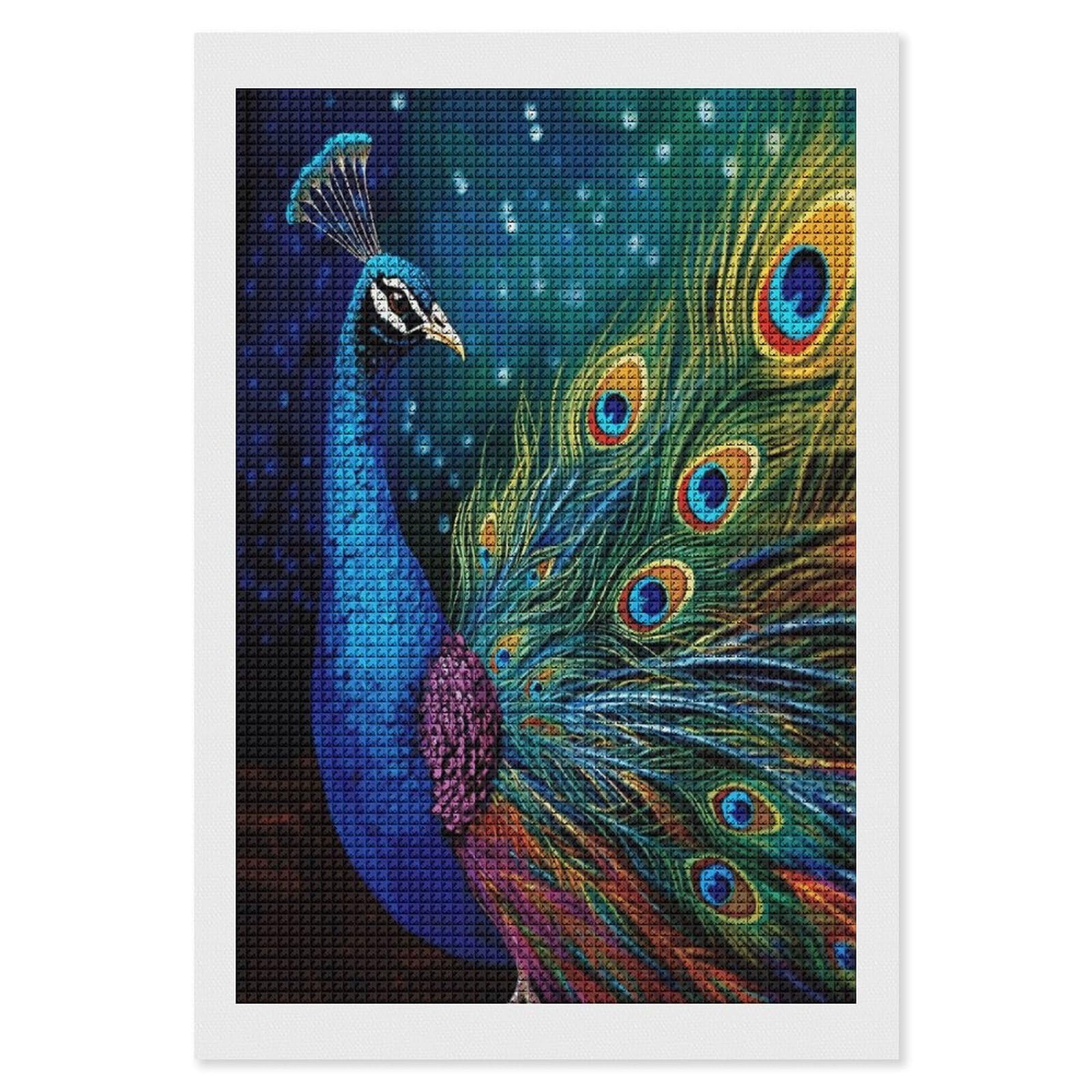 FodPand Colored Peacock Diamond Painting Kit for Beginner Fun 5D DIY Crafts for Adults Diamond Art Kits Square Diamond Art Canvas Painting Gem Art Crafts for Home Wall Decor 8"x12"